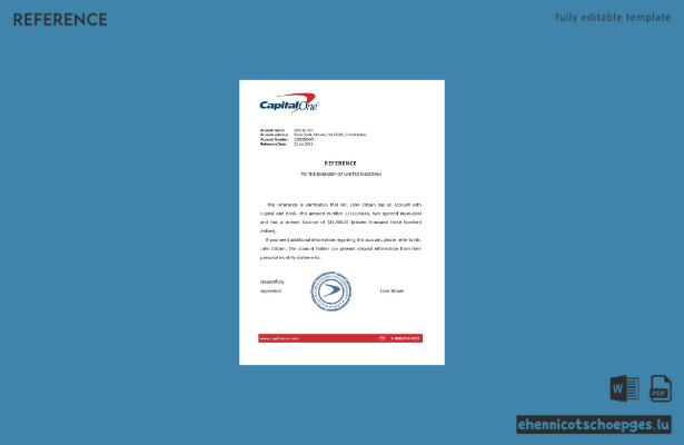 USA Capital One Referenzmuster-Vorschau